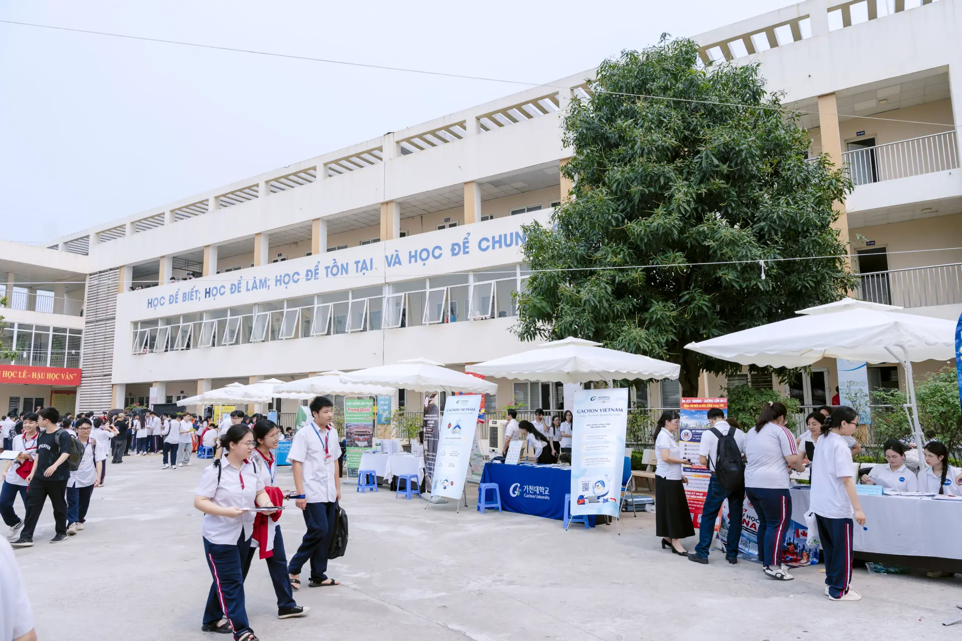 Gachon Vietnam đồng hành cùng học sinh THPT Xuân Phương trong Ngày hội tư vấn hướng nghiệp 2026