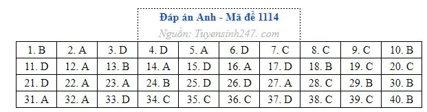 Gợi ý đáp án môn Tiếng Anh thi tốt nghiệp THPT năm 2026