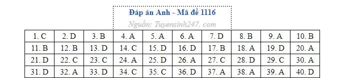 Gợi ý đáp án môn Tiếng Anh thi tốt nghiệp THPT năm 2026