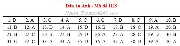 Gợi ý đáp án môn Tiếng Anh thi tốt nghiệp THPT năm 2026