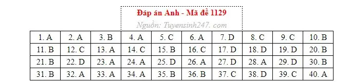 Gợi ý đáp án môn Tiếng Anh thi tốt nghiệp THPT năm 2026