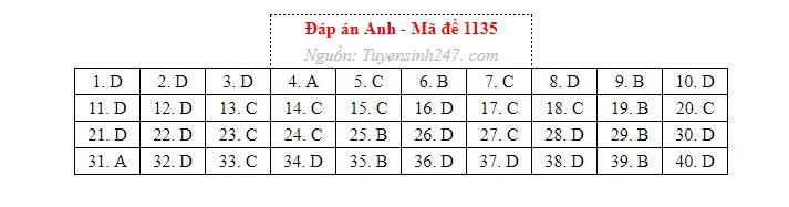 Gợi ý đáp án môn Tiếng Anh thi tốt nghiệp THPT năm 2026